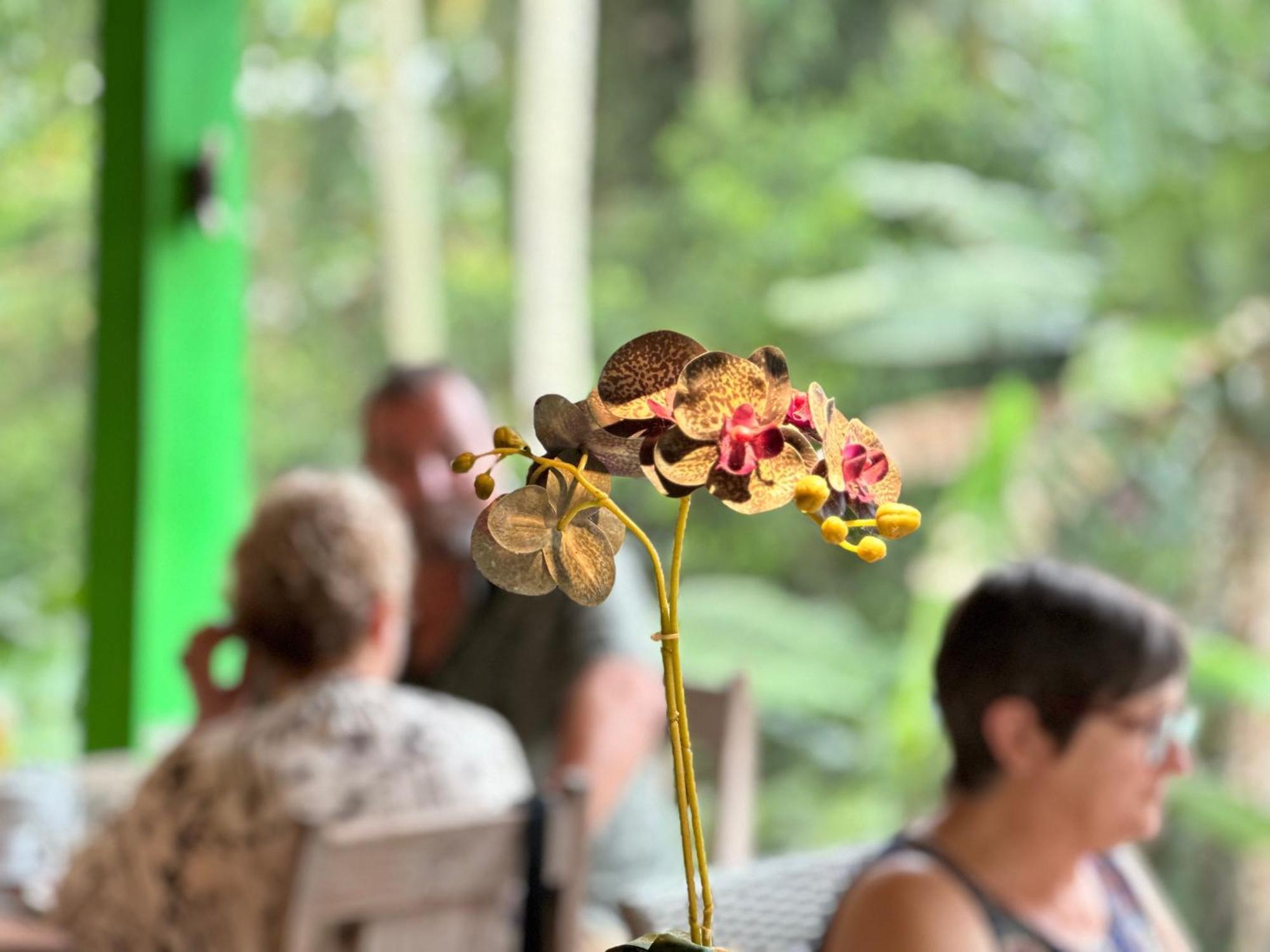 Dupa Ubud Dış mekan fotoğraf
