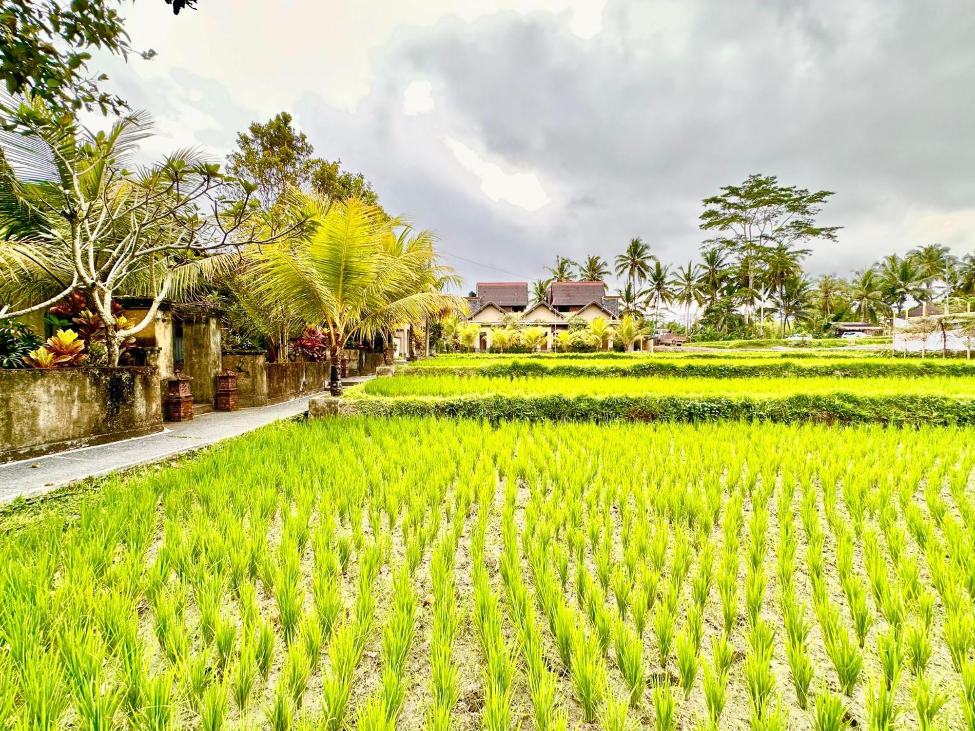 Dupa Ubud Dış mekan fotoğraf