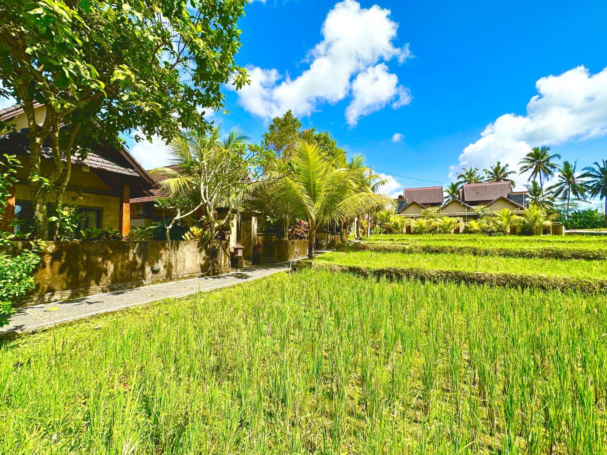 Dupa Ubud Dış mekan fotoğraf